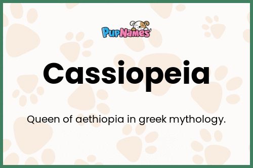 Cassiopeia dog name meaning