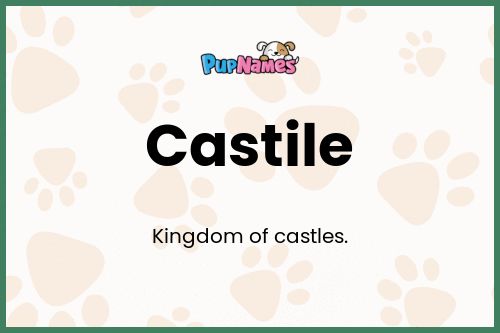 Castile dog name meaning