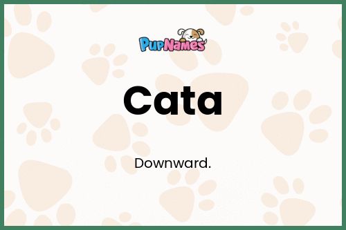 Cata dog name meaning