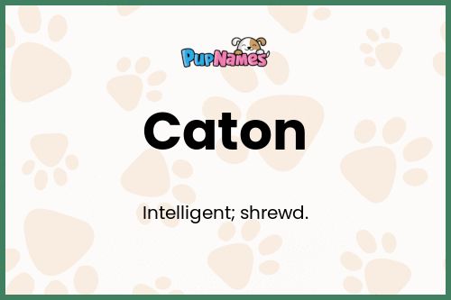 Caton dog name meaning