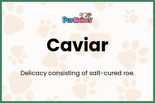 Caviar dog name meaning