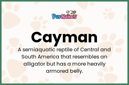 Cayman dog name meaning