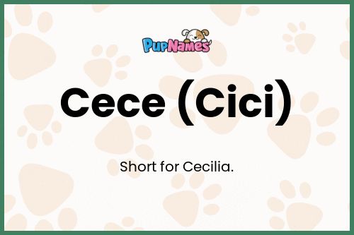 Cece (Cici) dog name meaning