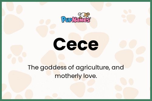 Cece dog name meaning