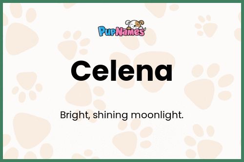 Celena dog name meaning