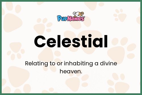Celestial dog name meaning