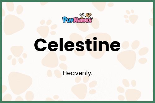 Celestine dog name meaning