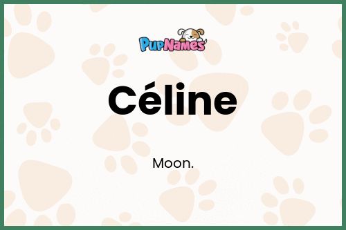 Céline dog name meaning