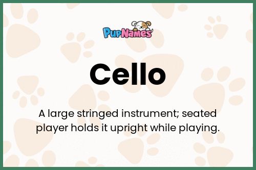 Cello dog name meaning