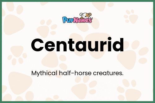 Centaurid dog name meaning