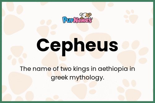 Cepheus dog name meaning