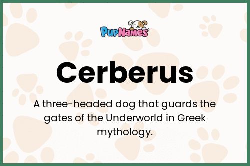 Cerberus dog name meaning