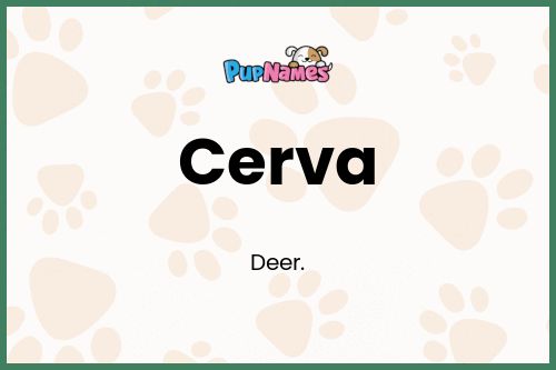 Cerva dog name meaning