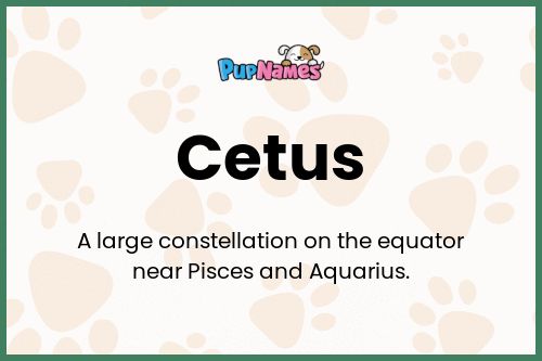 Cetus dog name meaning