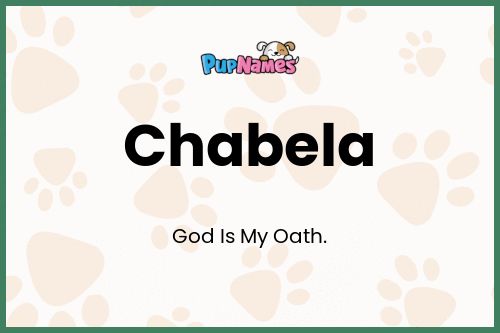 Chabela dog name meaning