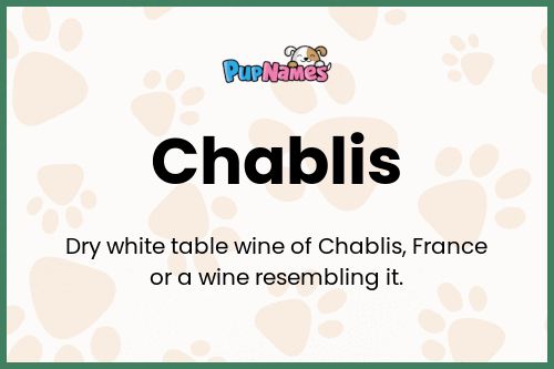 Chablis dog name meaning