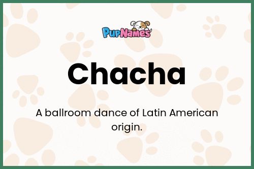 Chacha dog name meaning