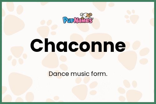 Chaconne dog name meaning