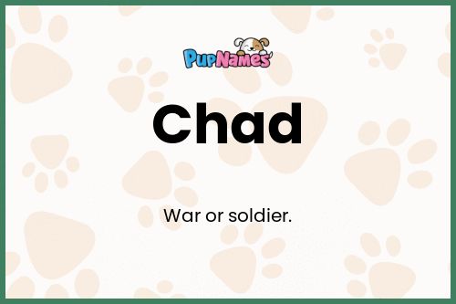 Chad dog name meaning