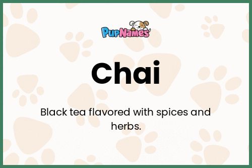 Chai dog name meaning