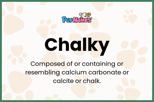 Chalky dog name meaning