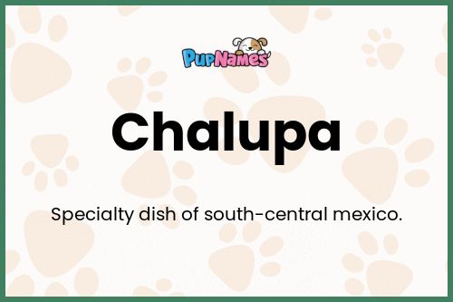 Chalupa dog name meaning