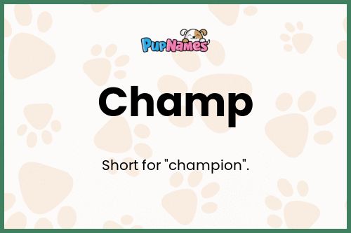 Champ dog name meaning