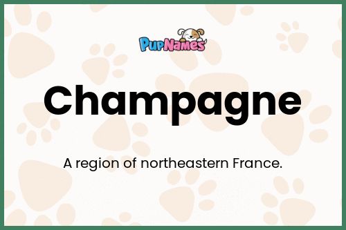 Champagne dog name meaning