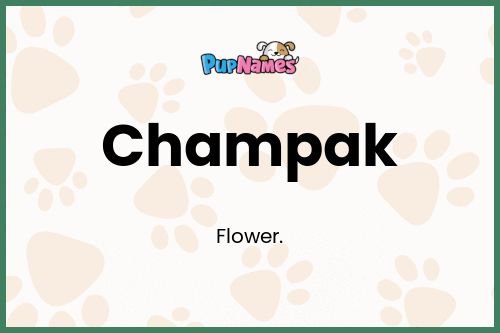 Champak dog name meaning