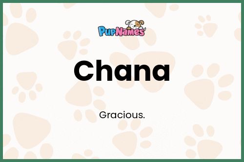 Chana dog name meaning