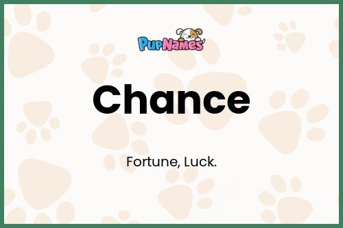 Chance dog name meaning