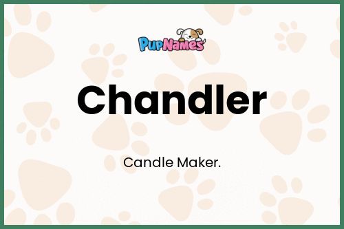 Chandler dog name meaning