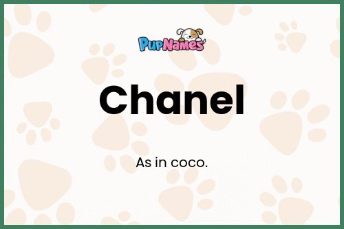 Chanel dog name meaning