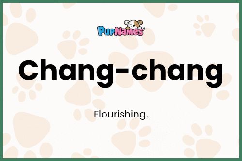 Chang-chang dog name meaning