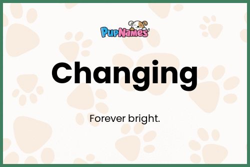 Changing dog name meaning