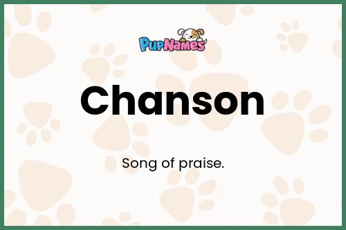 Chanson dog name meaning