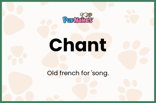 Chant dog name meaning