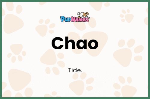 Chao dog name meaning