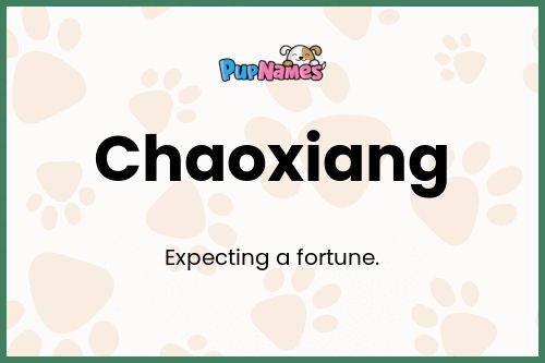 Chaoxiang dog name meaning