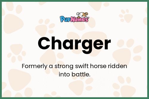 Charger dog name meaning