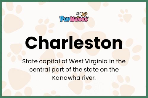 Charleston dog name meaning