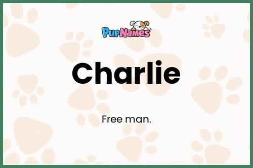 Charlie dog name meaning