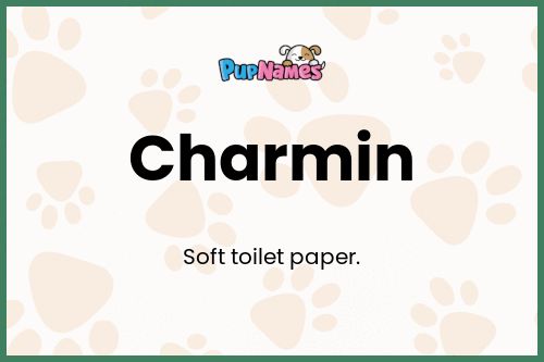 Charmin dog name meaning