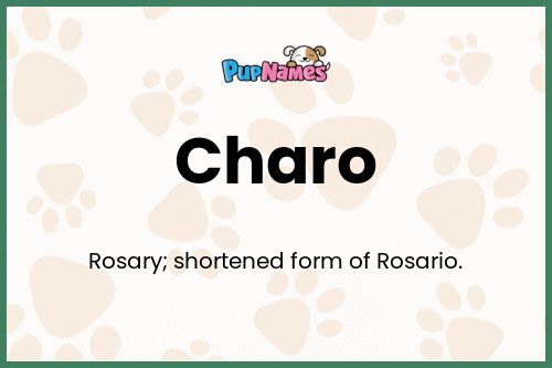 Charo dog name meaning