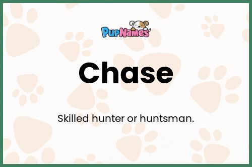 Chase dog name meaning