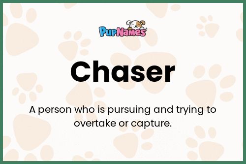 Chaser dog name meaning