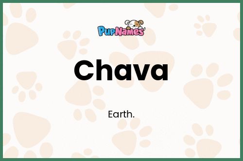 Chava dog name meaning