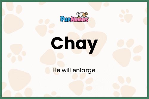 Chay dog name meaning