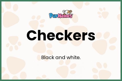 Checkers dog name meaning