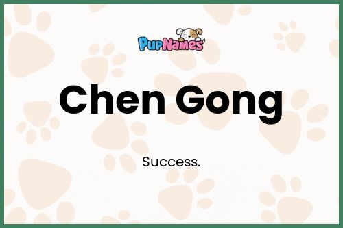 Chen Gong dog name meaning